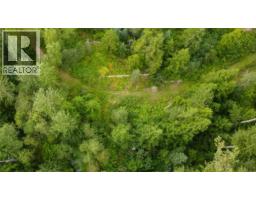 4453 Passmore Upper Road, Passmore, BC V0G2J0 Photo 62