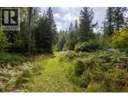 4453 Passmore Upper Road, Passmore, BC V0G2J0 Photo 61