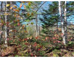 Lot 25 Beaver Lane, Grantville, NS B0E1J0 Photo 12