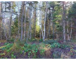 Lot 25 Beaver Lane, Grantville, NS B0E1J0 Photo 13