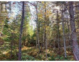 Lot 25 Beaver Lane, Grantville, NS B0E1J0 Photo 16