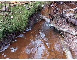 Lot 25 Beaver Lane, Grantville, NS B0E1J0 Photo 17