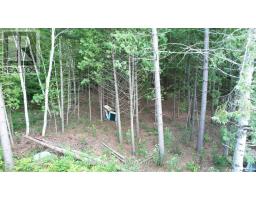 3155 Mountain View Road, Killaloe, Hagarty And Richards, ON K0J2A0 Photo 9