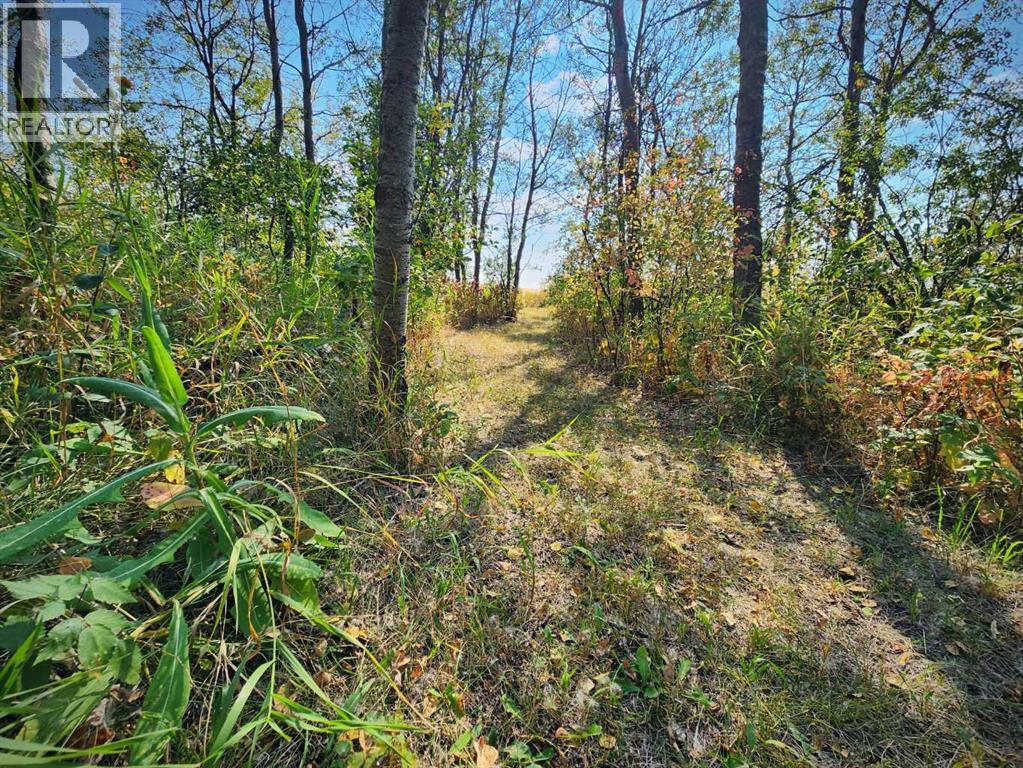 40225 RR 19-2 - Image 48