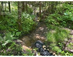 625 Chetwynd Road, Armour, ON P0A1C0 Photo 31