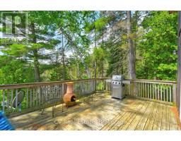625 Chetwynd Road, Armour, ON P0A1C0 Photo 37
