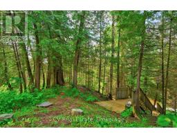 625 Chetwynd Road, Armour, ON P0A1C0 Photo 35