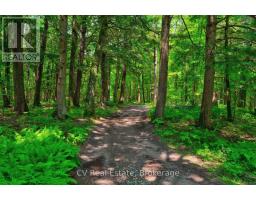 625 Chetwynd Road, Armour, ON P0A1C0 Photo 39