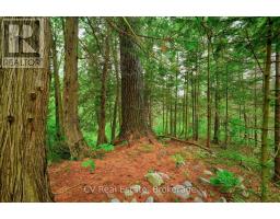 625 Chetwynd Road, Armour, ON P0A1C0 Photo 29