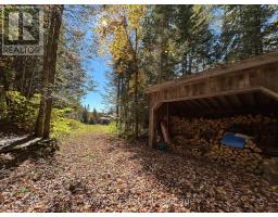 625 Chetwynd Road, Armour, ON P0A1C0 Photo 40