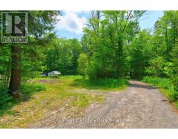 625 Chetwynd Road, Armour, ON P0A1C0 Photo 47