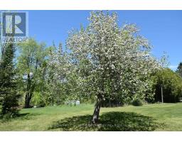 Other - 6628 Buckshot Lake Road, Frontenac, ON K0H2M0 Photo 10