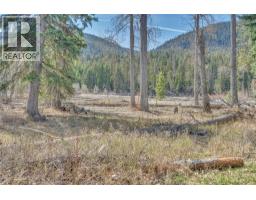 2481 Coalmont Road, Coalmont Tulameen, BC V0H1G0 Photo 13