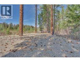 2481 Coalmont Road, Coalmont Tulameen, BC V0H1G0 Photo 49