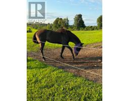 21237 Concession 6 Road, South Glengarry, ON K0C1Z0 Photo 40