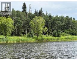 340 Johnson Avenue, Big River, SK S0J0E0 Photo 49