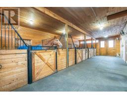 822 Cleveland Road, Windermere, NS B0P1E0 Photo 29