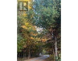 822 Cleveland Road, Windermere, NS B0P1E0 Photo 38