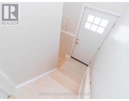 Basement - 87 Cordella Avenue, Toronto, ON M6N2J8 Photo 12