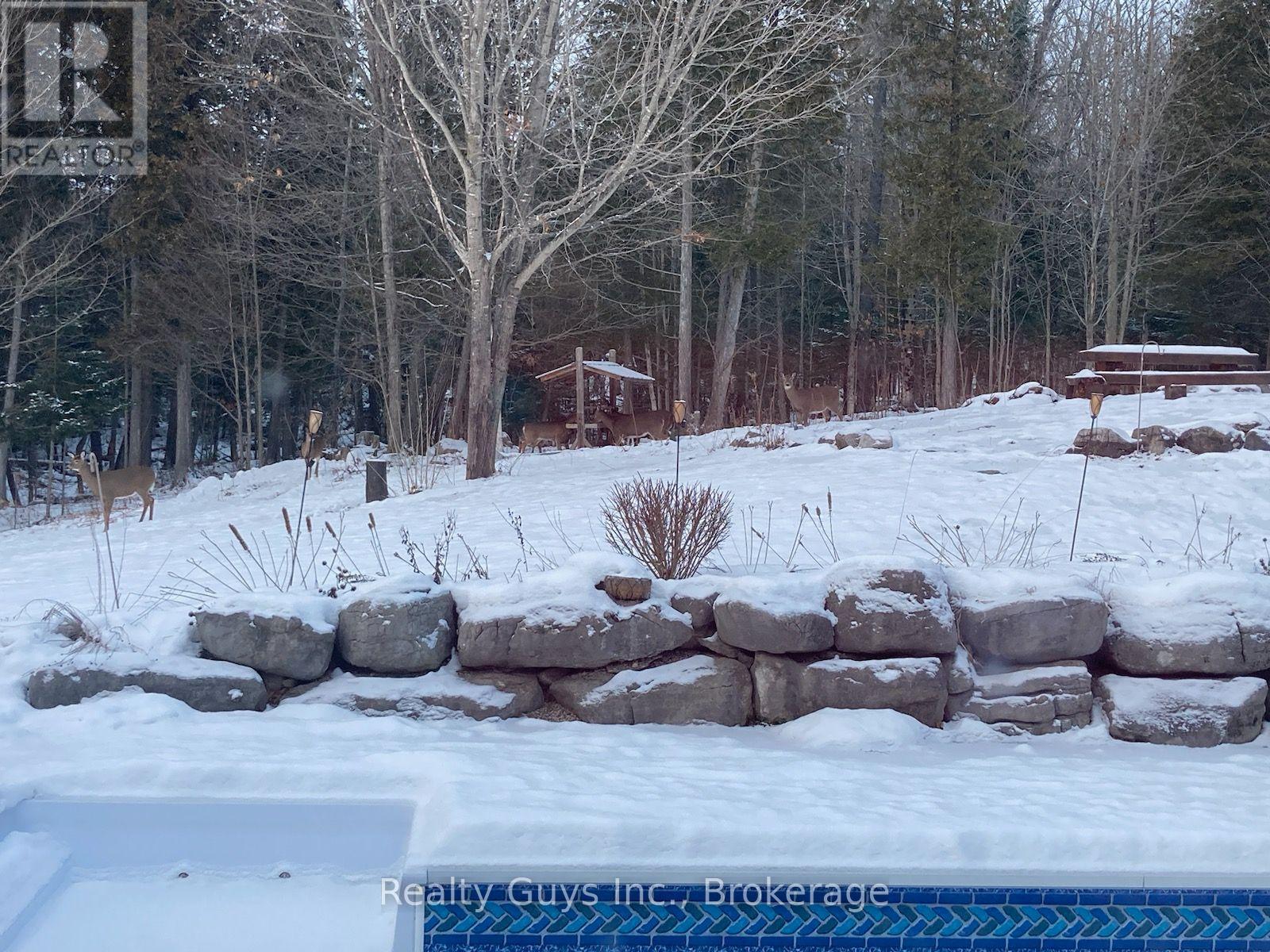 891 COUNTY ROAD - 21