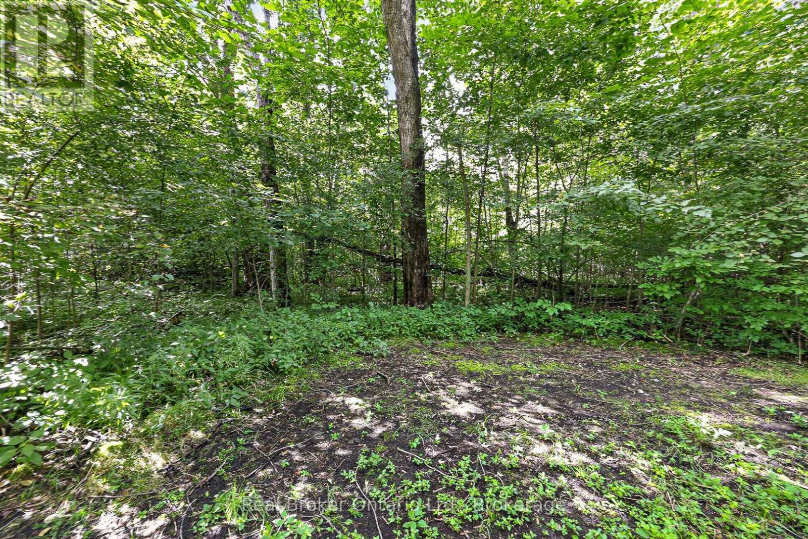 785729 Oxford Road 33 Road — photo 30