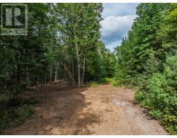 1241 Koshlong Lake Road, Dysart Et Al, ON K0M1S0 Photo 11