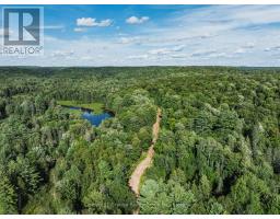 1241 Koshlong Lake Road, Dysart Et Al, ON K0M1S0 Photo 12