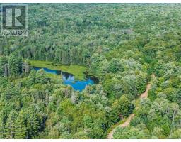 1241 Koshlong Lake Road, Dysart Et Al, ON K0M1S0 Photo 13