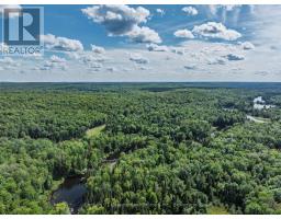 1241 Koshlong Lake Road, Dysart Et Al, ON K0M1S0 Photo 16