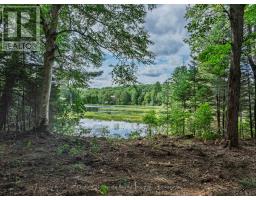 1241 Koshlong Lake Road, Dysart Et Al, ON K0M1S0 Photo 6