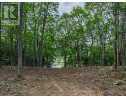 1241 Koshlong Lake Road, Dysart Et Al, ON K0M1S0 Photo 8