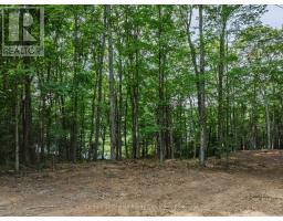 1241 Koshlong Lake Road, Dysart Et Al, ON K0M1S0 Photo 9