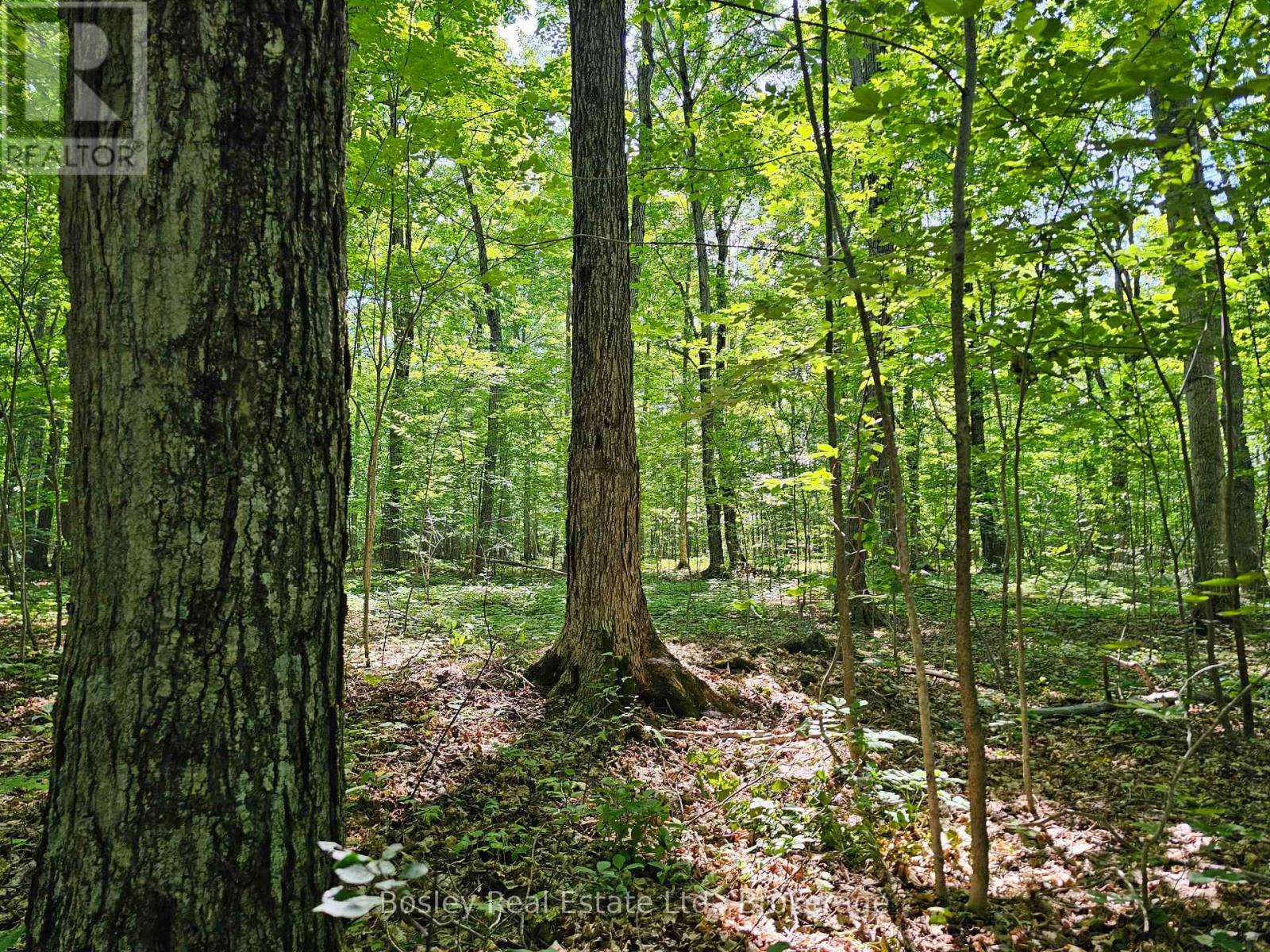 404302 CONCESSION 20 ROAD, Georgian Bluffs — photo 41