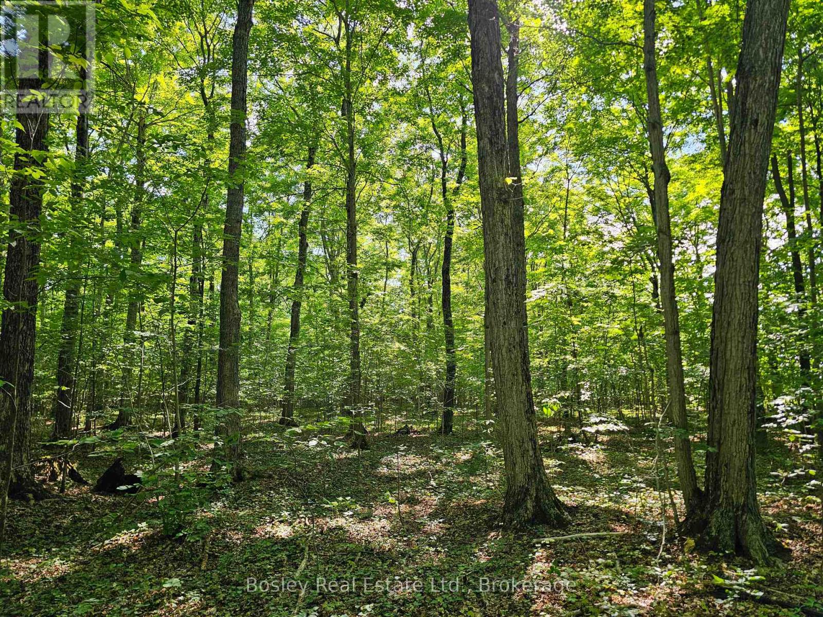 404302 CONCESSION 20 ROAD, Georgian Bluffs — photo 44