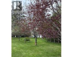 Kitchen - 186 Killam Road, Killams Mills, NB E4Z2X6 Photo 6