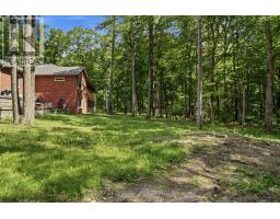 376 Gallivan Road, Quinte West, ON K0K3E0 Photo 39