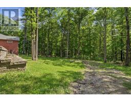 376 Gallivan Road, Quinte West, ON K0K3E0 Photo 37