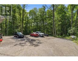 376 Gallivan Road, Quinte West, ON K0K3E0 Photo 36