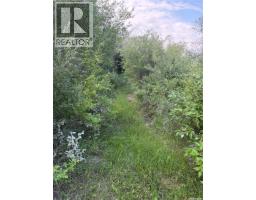 338 Laurier Crescent, North Saskatchewan River, SK S0K2L0 Photo 55