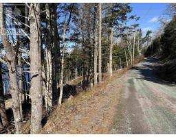 Lot 128 Nathan Croft Road, Camperdown, NS B4V6T9 Photo 14