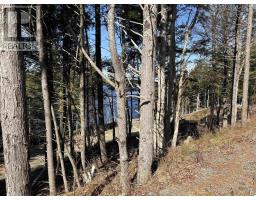 Lot 128 Nathan Croft Road, Camperdown, NS B4V6T9 Photo 18