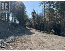 Lot 128 Nathan Croft Road, Camperdown, NS B4V6T9 Photo 33