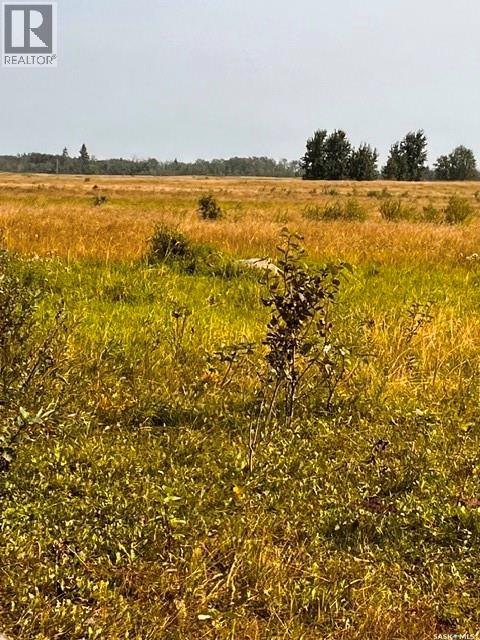 Fries Pasture, Leask Rm No. 464 — photo 17