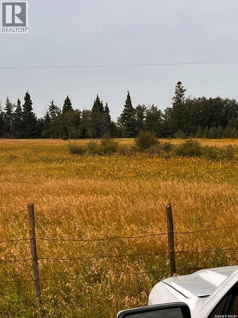 Fries Pasture, Leask Rm No. 464, Saskatchewan, S0J1M0, Leask Rm No. 464, Saskatchewan — photo 5 of 5