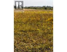 Fries Pasture, Leask Rm No  464, SK S0J1M0 Photo 14