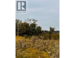 Fries Pasture, Leask Rm No  464, SK S0J1M0 Photo 12