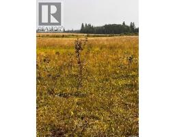 Fries Pasture, Leask Rm No  464, SK S0J1M0 Photo 15