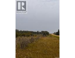 Fries Pasture, Leask Rm No  464, SK S0J1M0 Photo 7