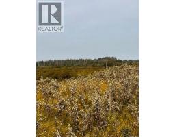 Fries Pasture, Leask Rm No  464, SK S0J1M0 Photo 13