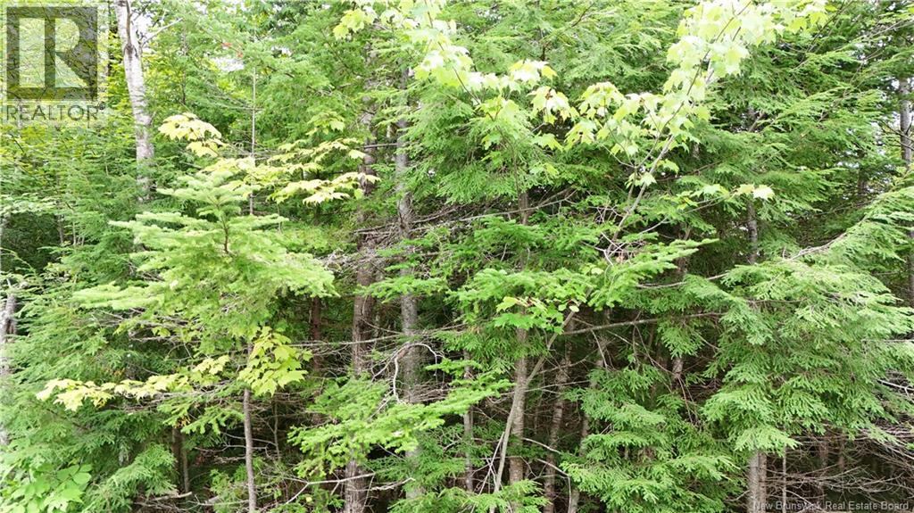 Bathory, Lower Greenwich, New Brunswick, E5K4H2, Lower Greenwich, New Brunswick — photo 4 of 5
